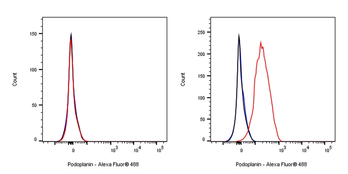 Syrian hamster Anti-Mouse Podoplanin Antibody (8.1.1)