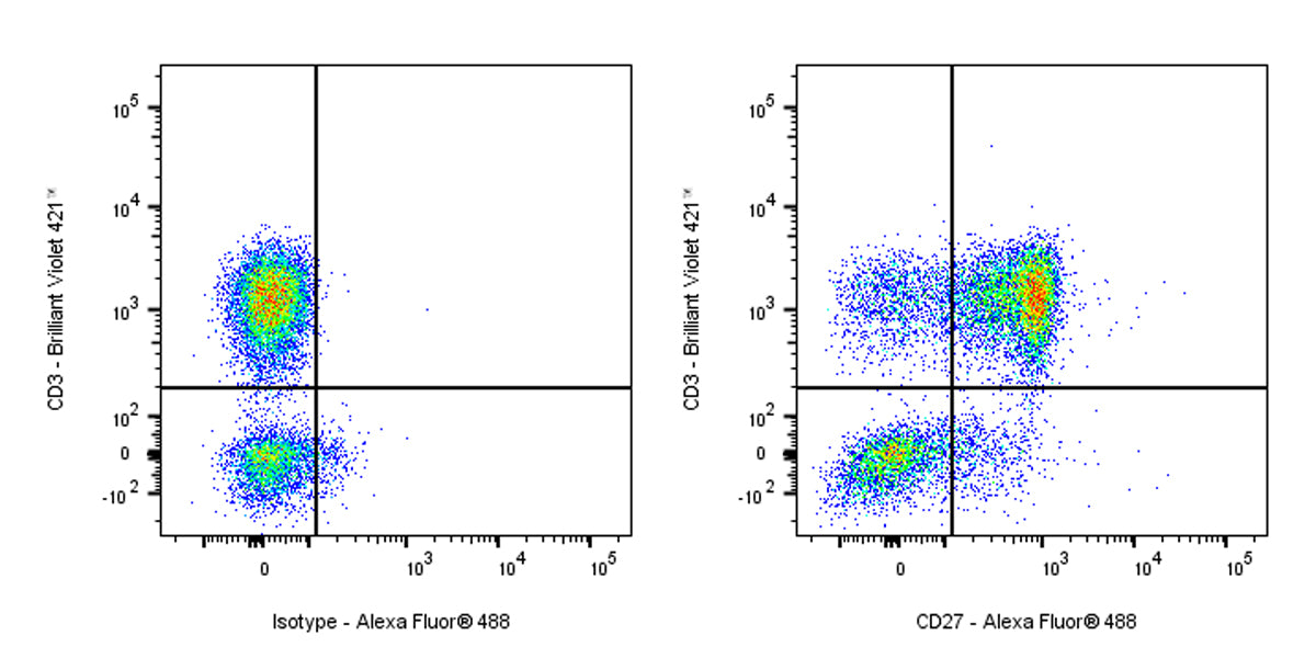 Alexa Fluor® 488 Rabbit Anti-Human CD27 Antibody (S-1205-49)