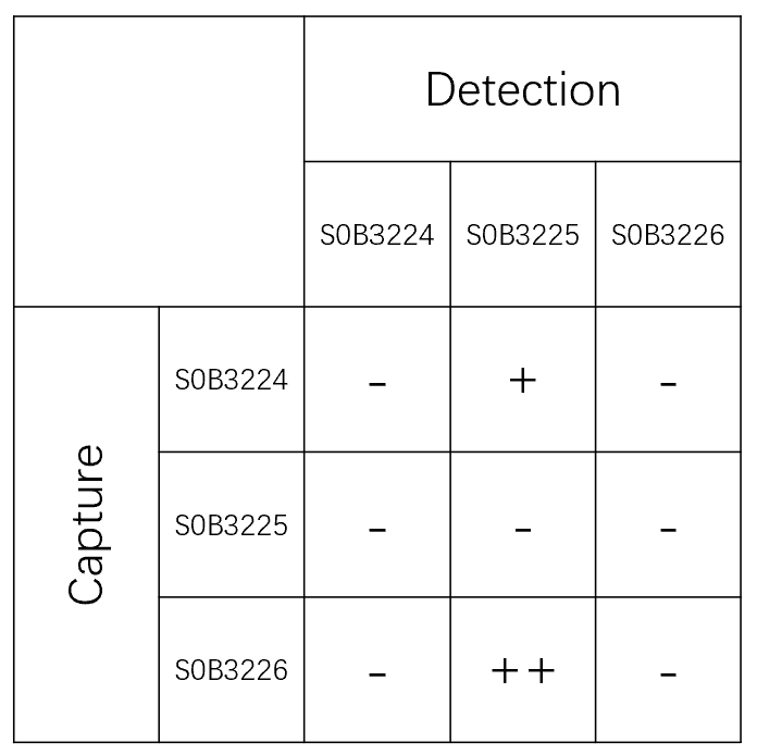 C-Peptide Recombinant Rabbit mAb (SDT-638-36)