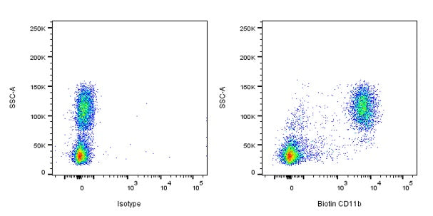 Biotin Rat Anti-Mouse/Human CD11b Antibody (S-R574)