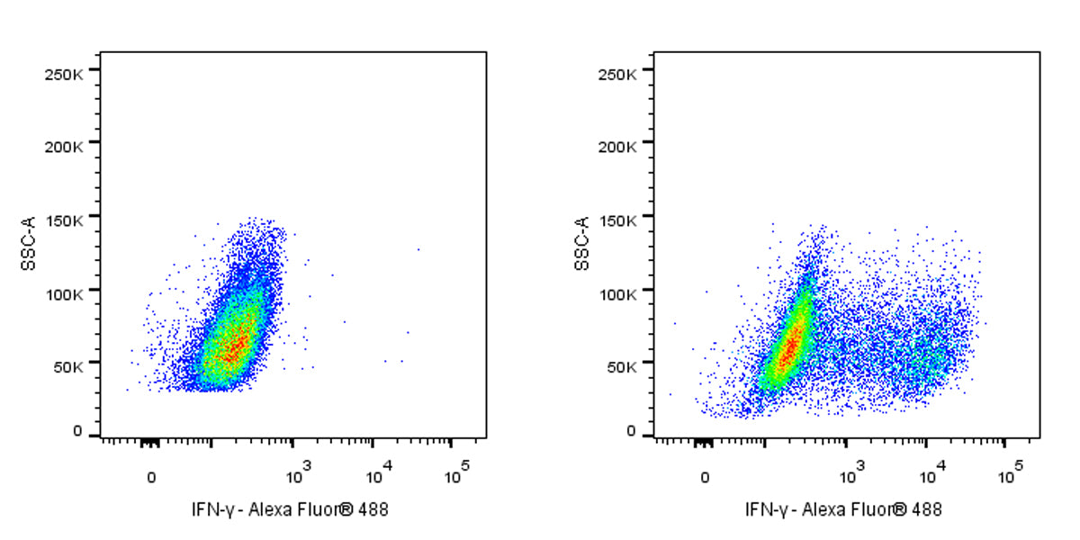 Alexa Fluor® 488 Mouse Anti-Human IFN-γ Antibody (S-3076)