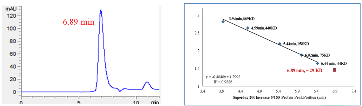 PLK2 (C83S, V87T, A119S, A216S, C259A, C291S, L335T) Protein, Human
