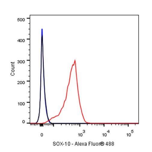 S-RMab® SOX10 Recombinant Rabbit mAb (SDT-R233)