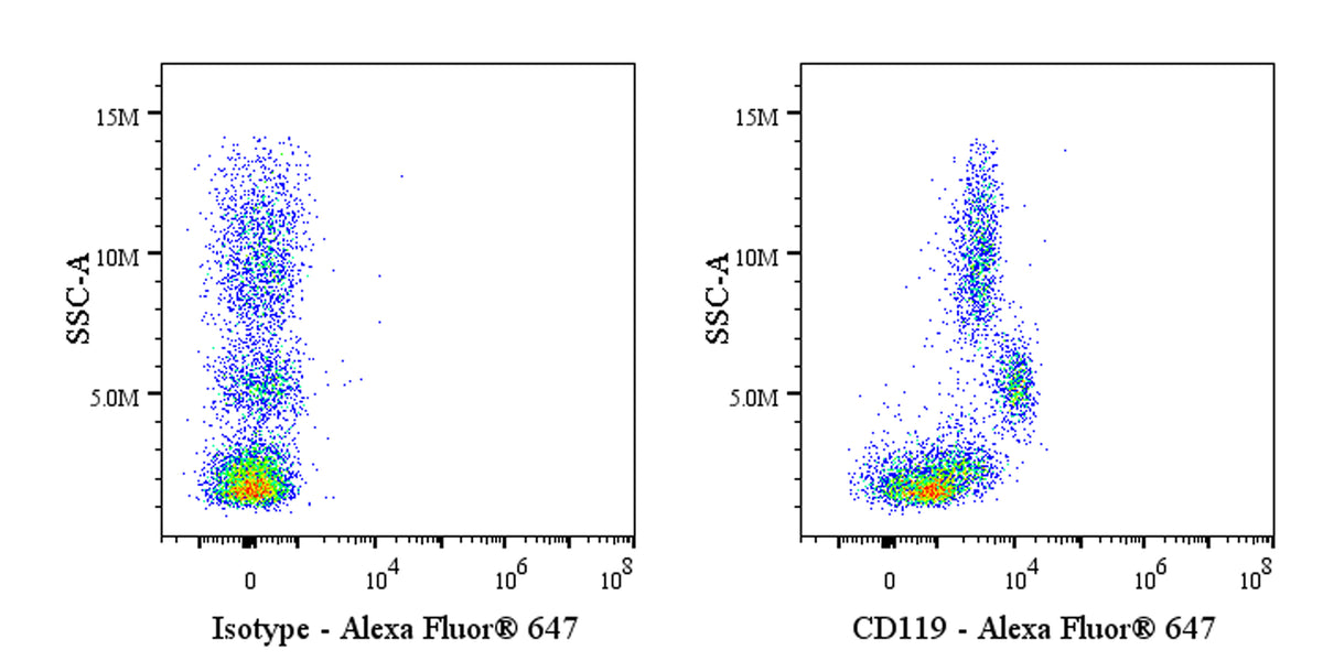 Mouse Anti-Human CD119 Antibody (S-3124)