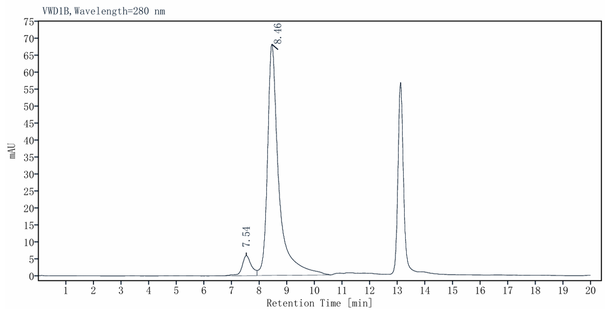 STUB1/CHIP His Tag Protein, Human