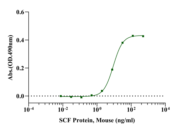 SCF Protein, Mouse