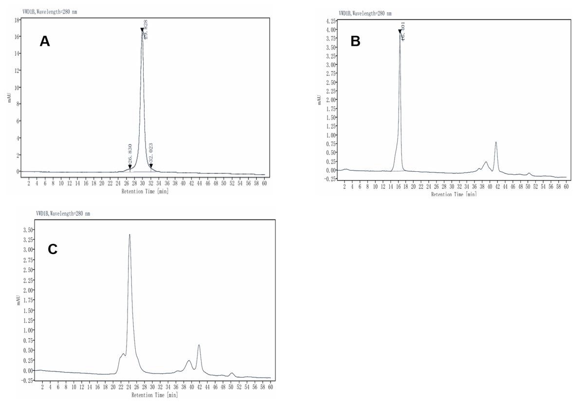 MSP1D1 His Tag Protein (Nanodisc), Human