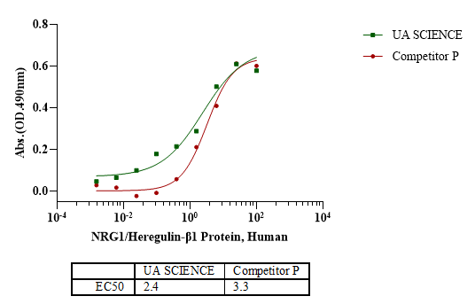 NRG1/Heregulin-β1 Protein, Human