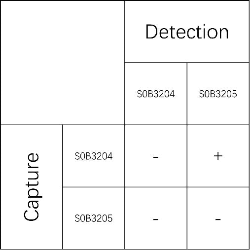 ANGPTL3 Recombinant Rabbit mAb (SDT-425-5)