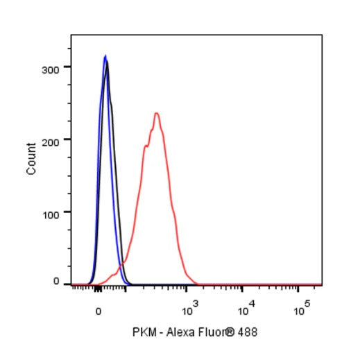 PKM Recombinant Rabbit mAb (S-812-20)