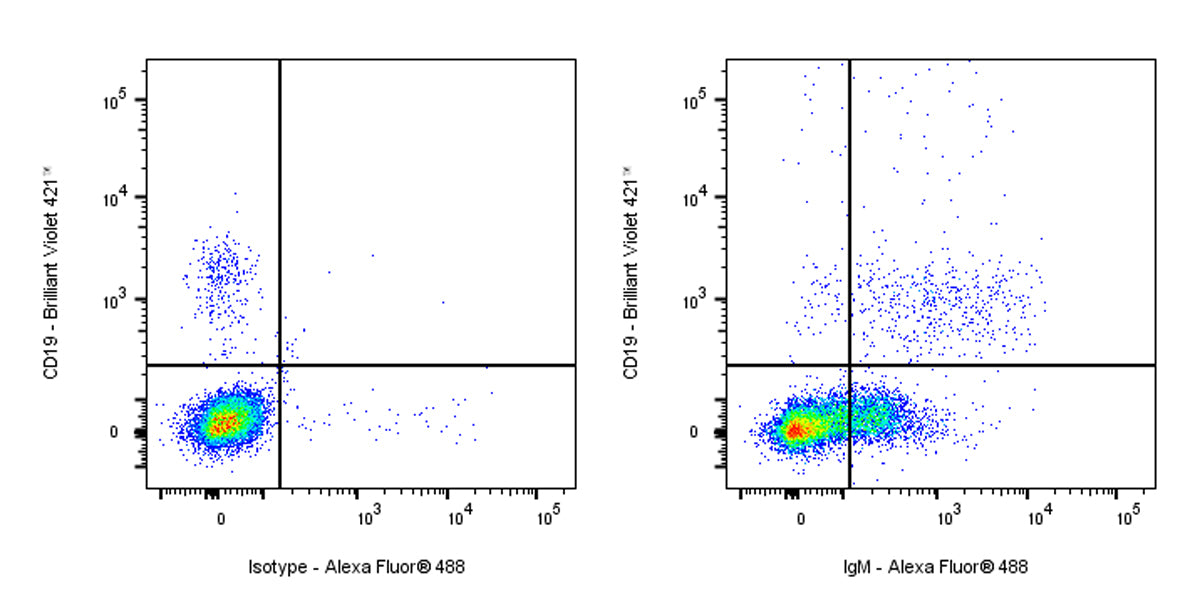 Alexa Fluor® 488 Mouse Anti-Human IgM Antibody (S-3031)