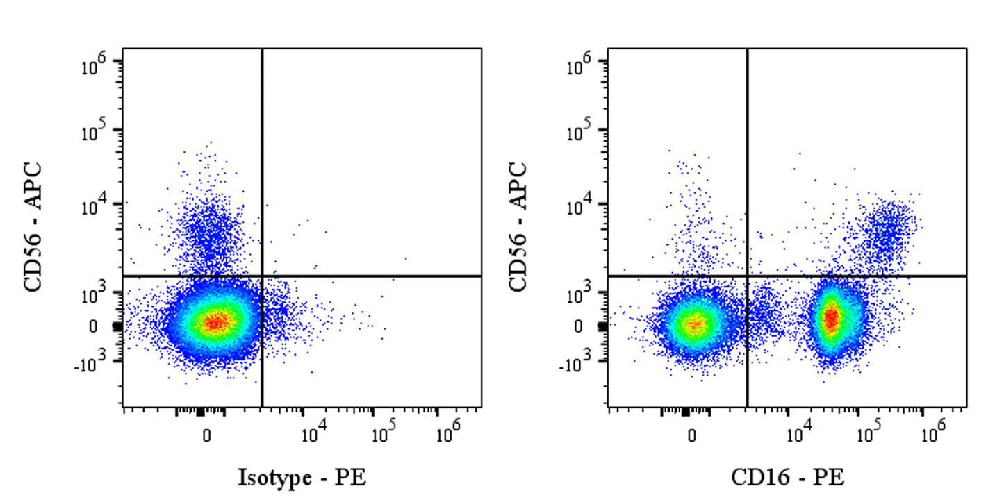PE Mouse Anti-Human CD16 Antibody (3G8)