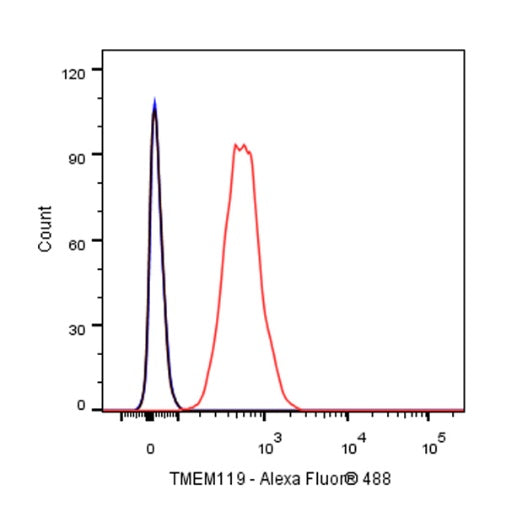 TMEM119 Recombinant Rabbit mAb (S-838-46)