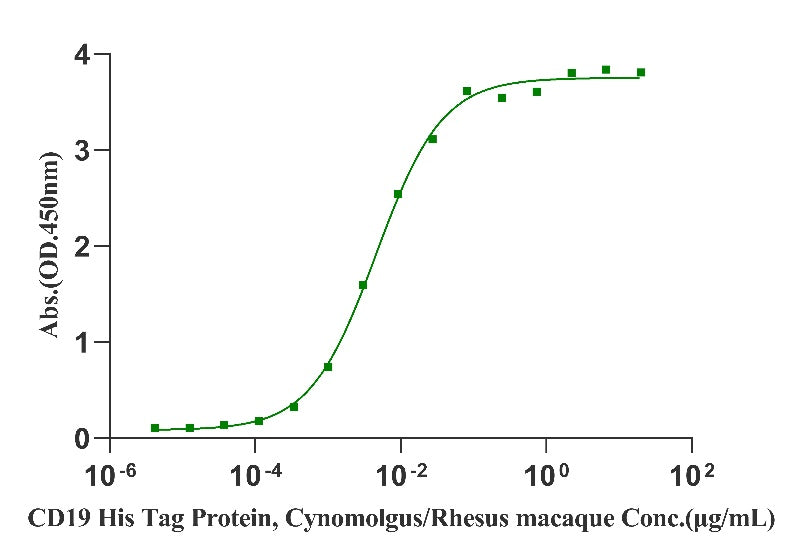 CD19 His Tag Protein, Cynomolgus/Rhesus macaque