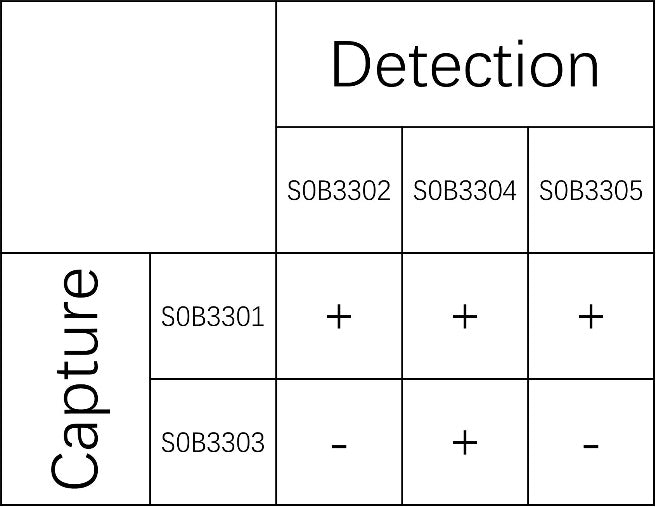 MMP3 Recombinant Rabbit mAb (SDT-1237-7)