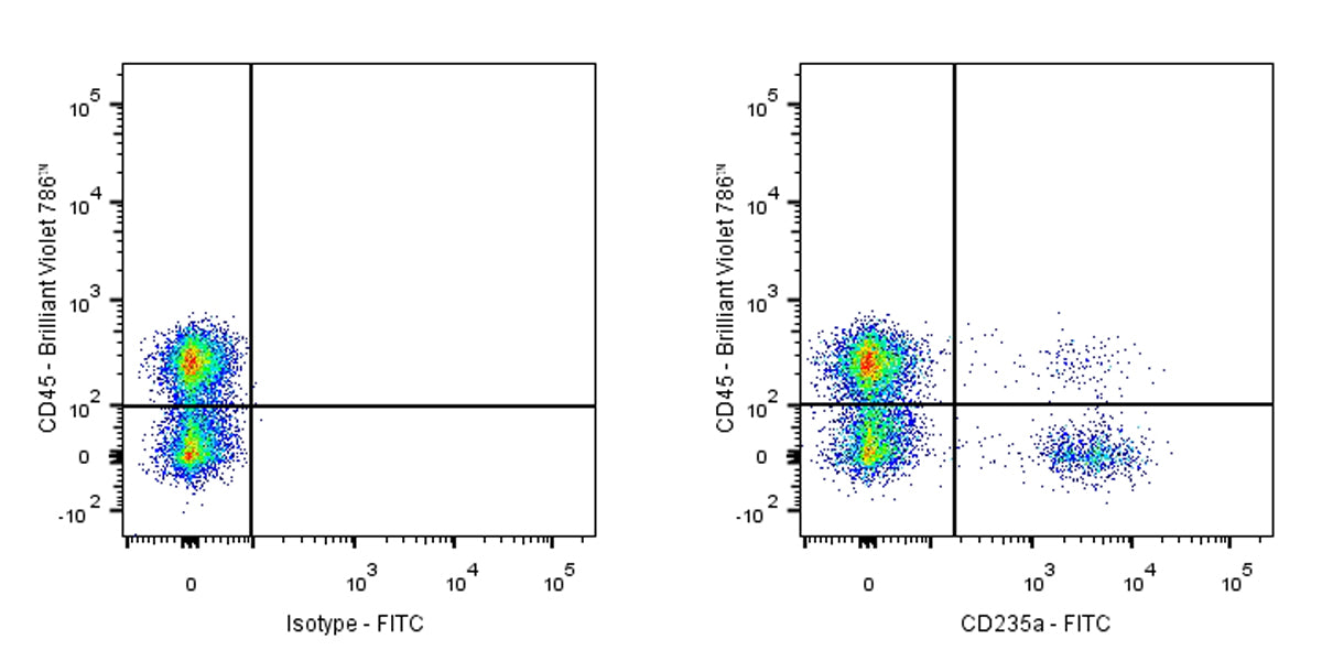 FITC Mouse Anti-Human CD235a Antibody (NNA7)
