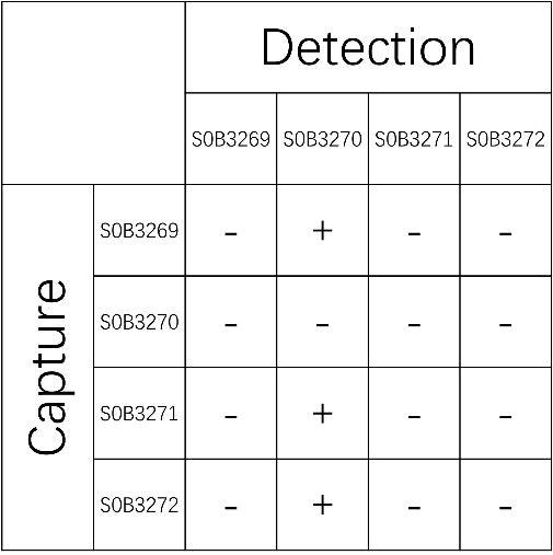 IL-8 Recombinant Rabbit mAb (SDT-162-5-2)