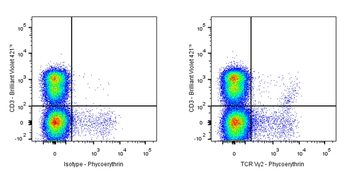Armenian hamster Anti-Mouse TCR Vγ2 Antibody (UC3-10A6)
