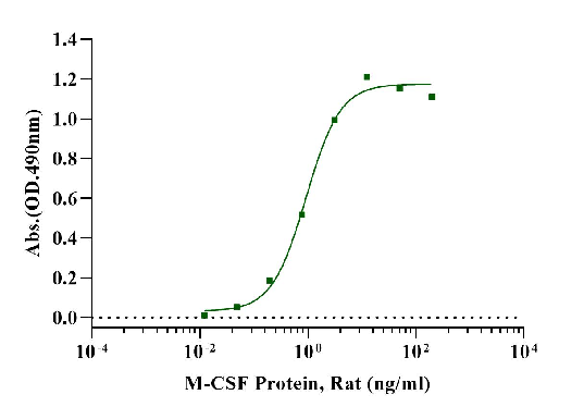 M-CSF Protein, Rat