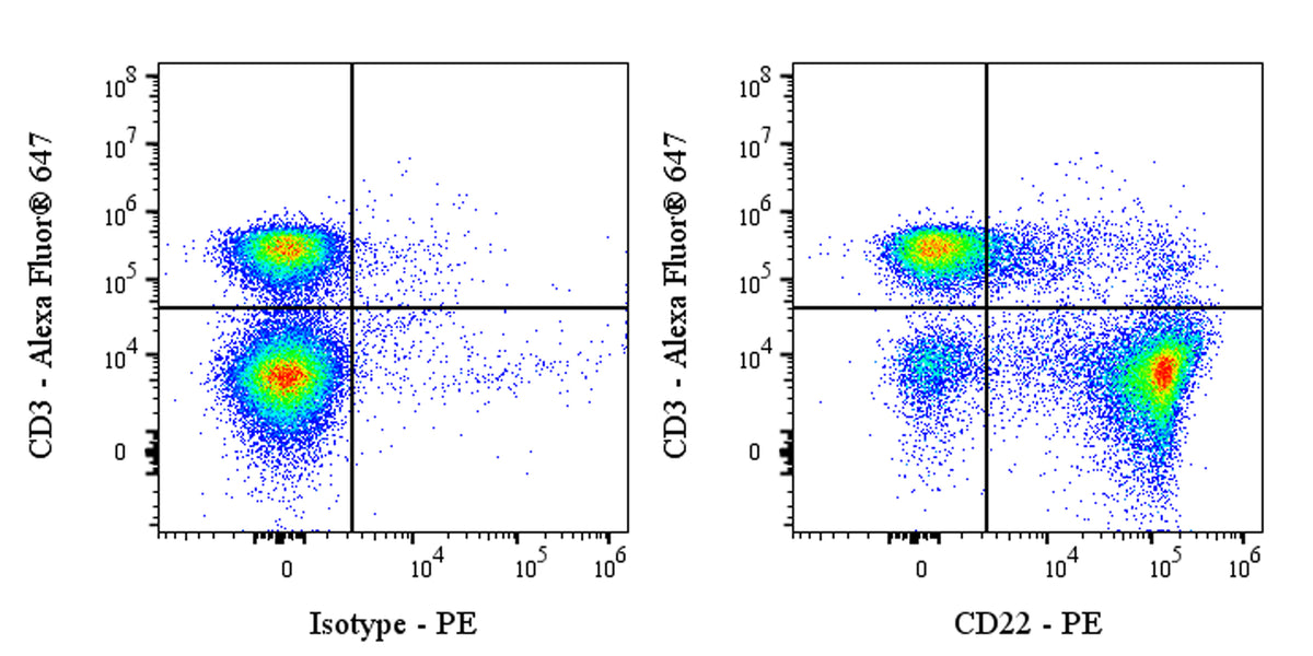 PE Rat Anti-Mouse CD22 Antibody (OX-97)