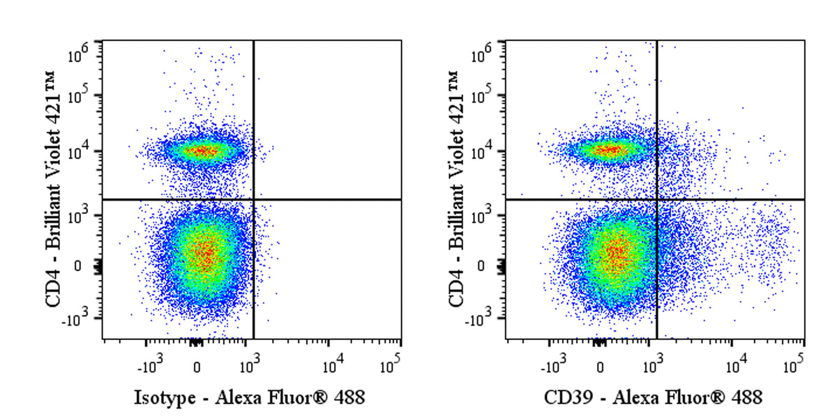 Alexa Fluor® 488 Rat Anti-Mouse CD39 Antibody (S-R641)