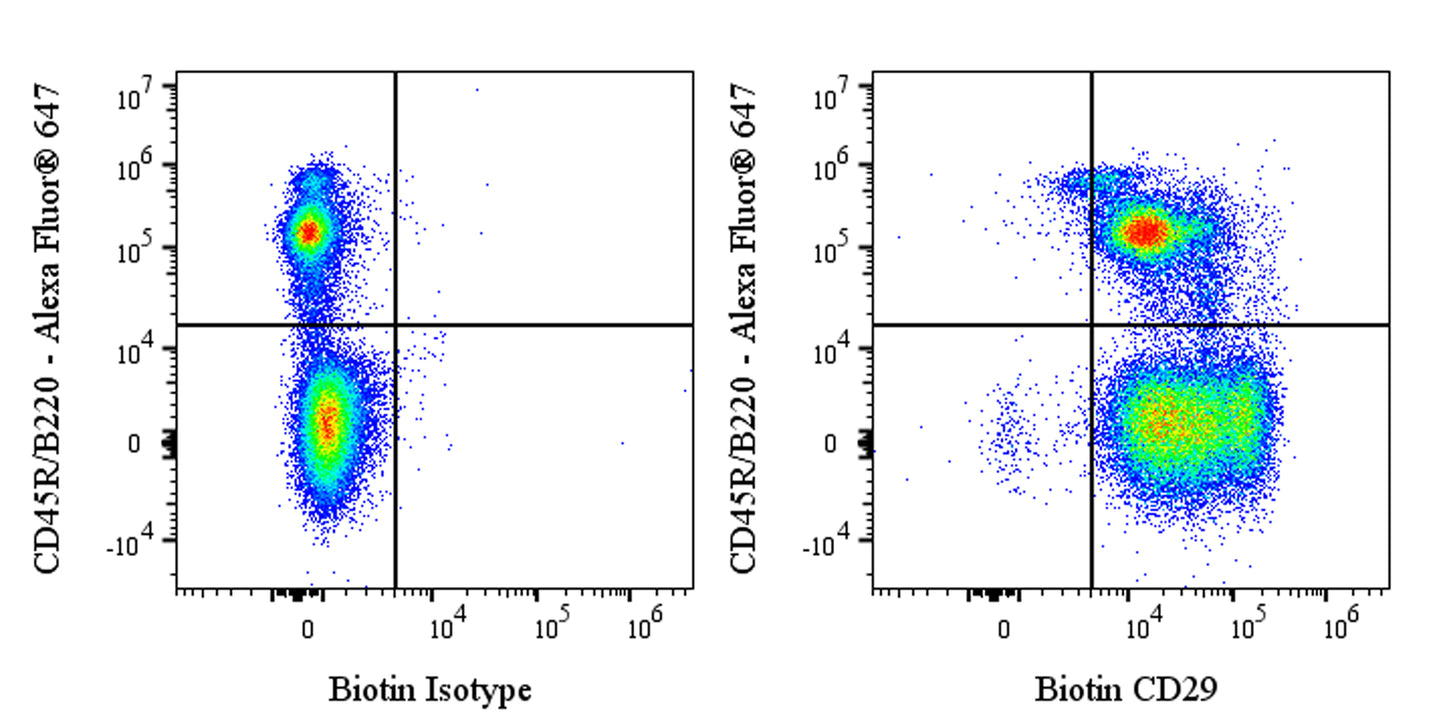 Biotin Armenian hamster Anti-Mouse/Rat CD29 (HMB1-1)