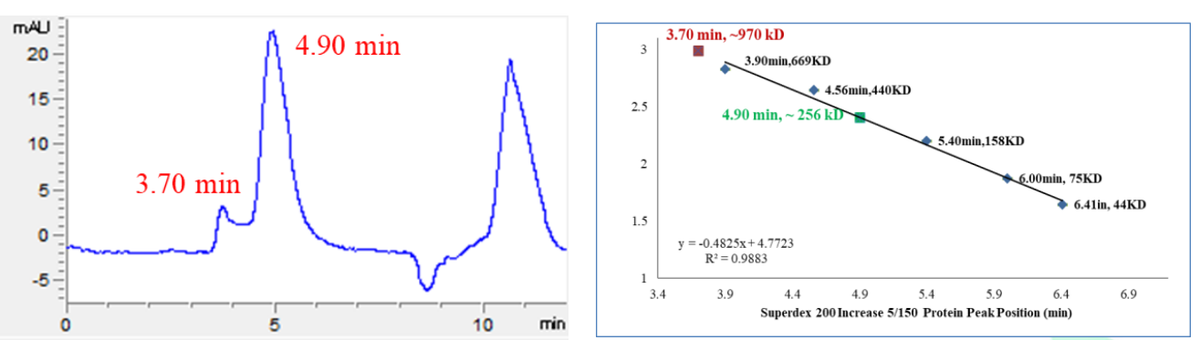 P70S6K GST Tag Protein, Human