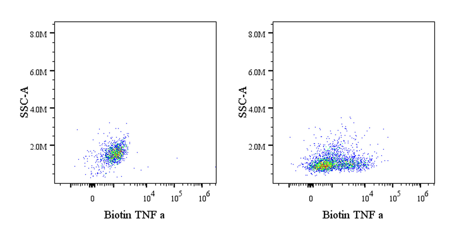 Biotin Rat Anti-Mouse TNF α Antibody (S-R604)