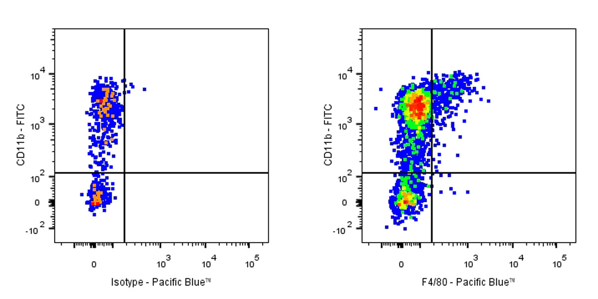 Pacific Blue Rat Anti-Mouse F4/80 Antibody (S-R537)