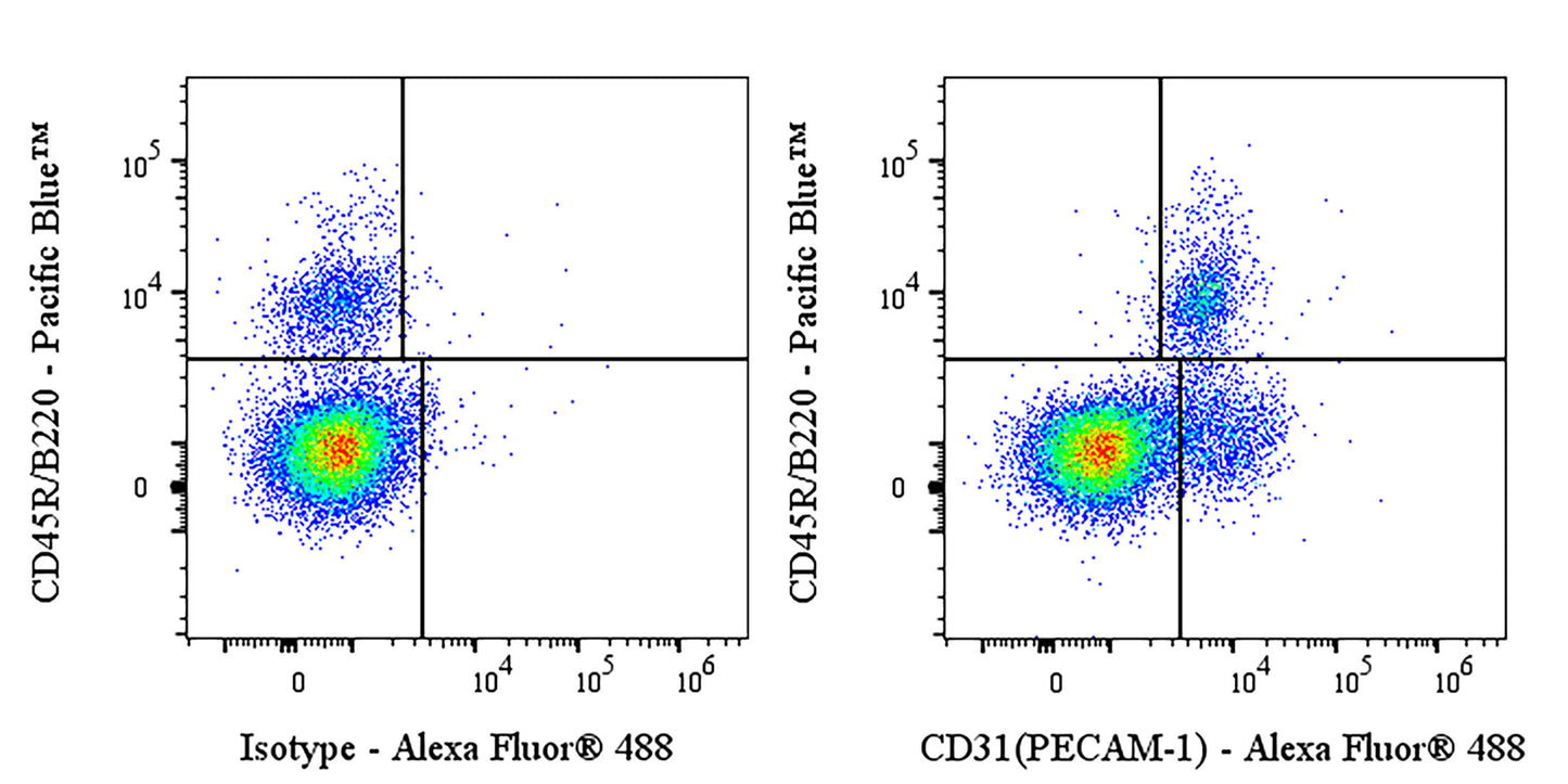 Invivo Anti-Mouse CD31 (PECAM-1) Recombinant mAb