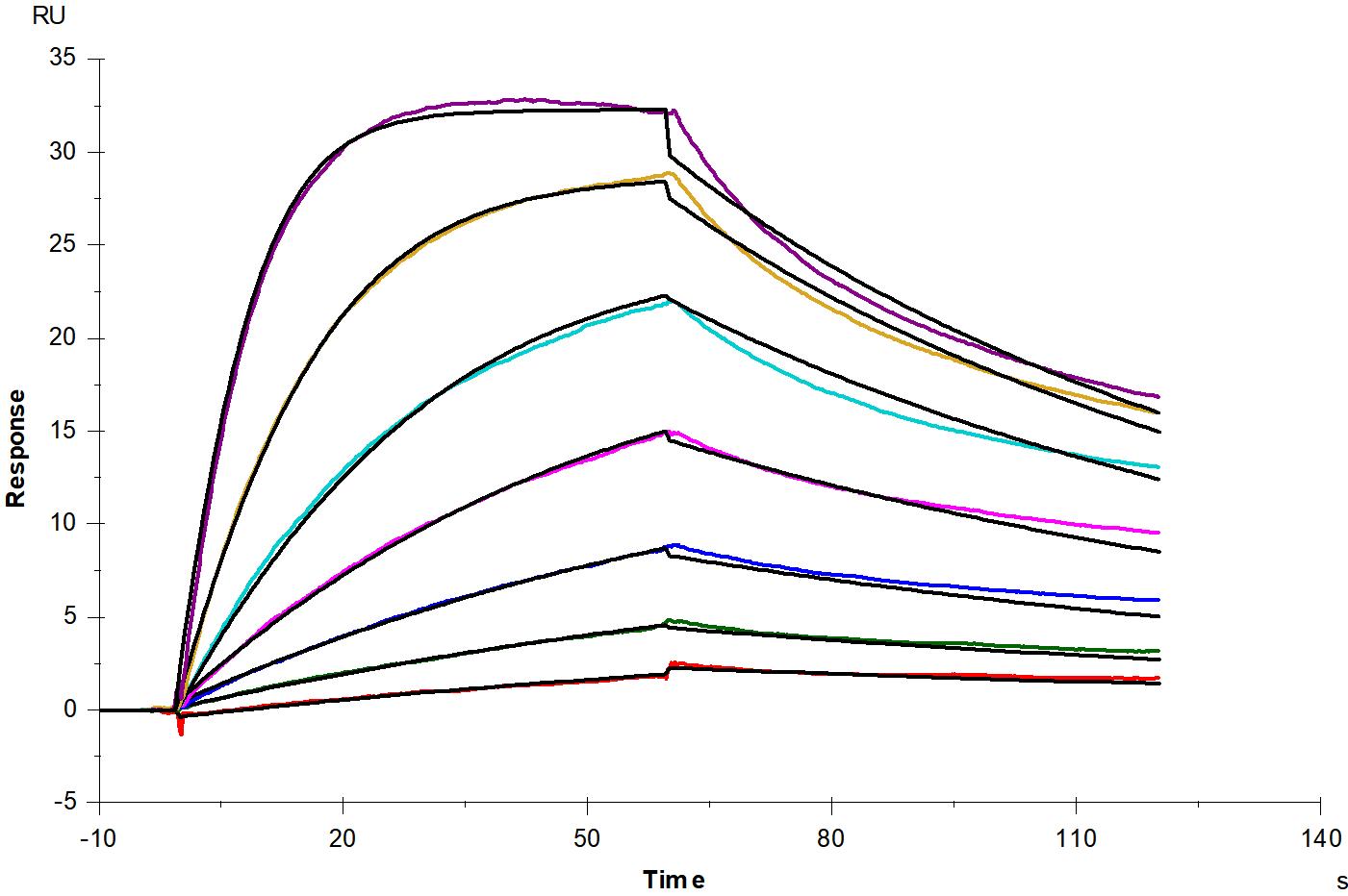 CD40 Ligand /TNFSF5 Trimer His Tag Protein, Human/Cynomolgus/Rhesus macaque