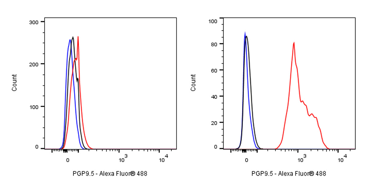 PGP9.5 Recombinant Rabbit mAb (SDT-665-37)