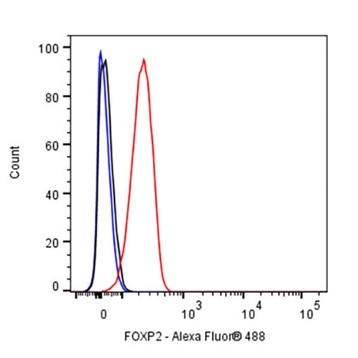FOXP2 Recombinant Rabbit mAb (S-2342-8)