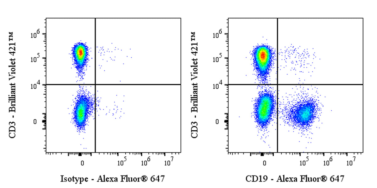 Alexa Fluor® 647 Mouse Anti-Human CD19 Antibody (HIB19)