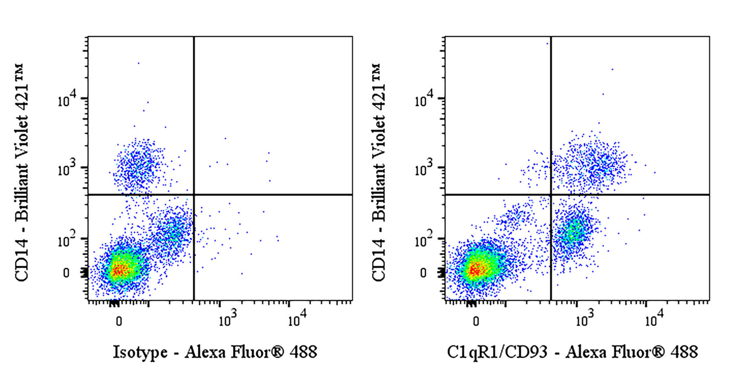 Mouse Anti-Human C1qR1/CD93 Antibody (VIMD)