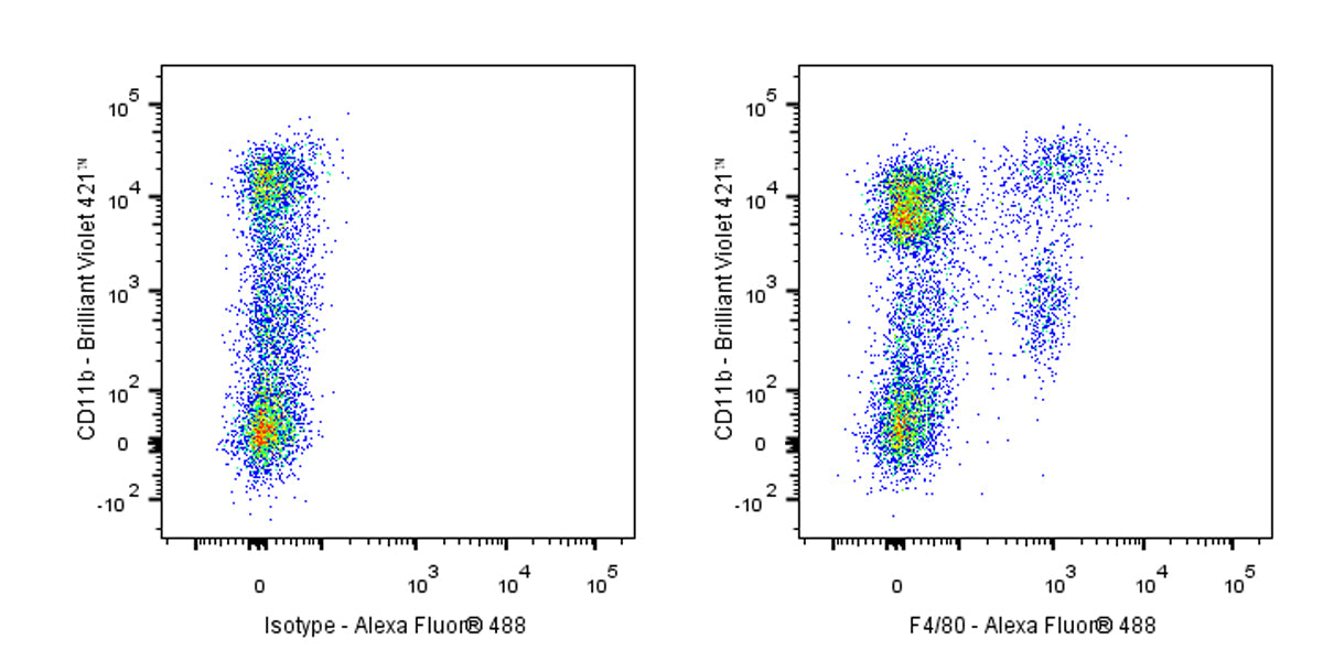 Alexa Fluor® 488 Rat Anti-Mouse F4/80 Antibody (S-R537)