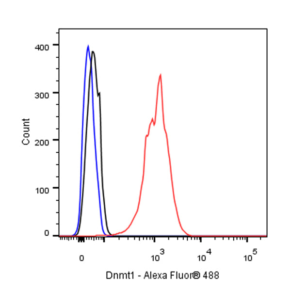 Dnmt1 Recombinant Rabbit mAb (S-R324)