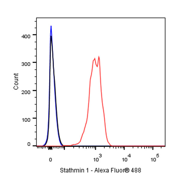 Stathmin 1 Recombinant Rabbit mAb (SDT-383-4)