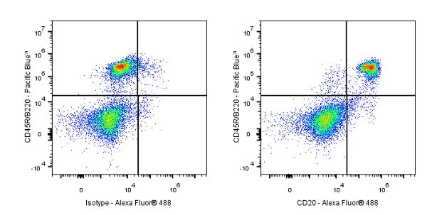 Invivo Anti-Mouse CD20 Recombinant mAb