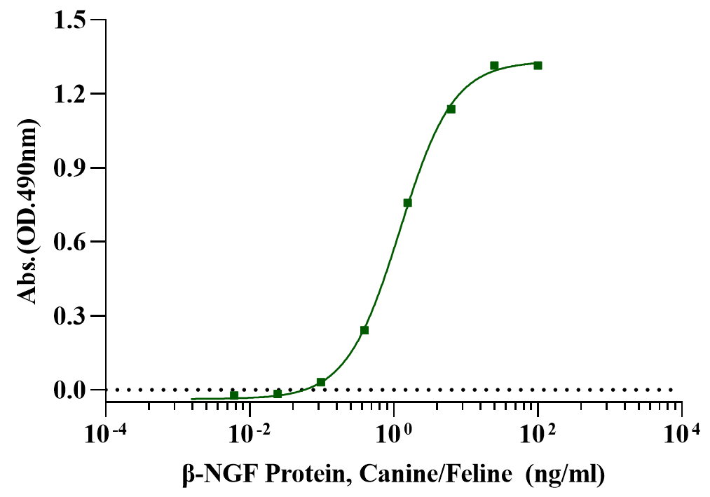 β-NGF Protein, Canine/Feline