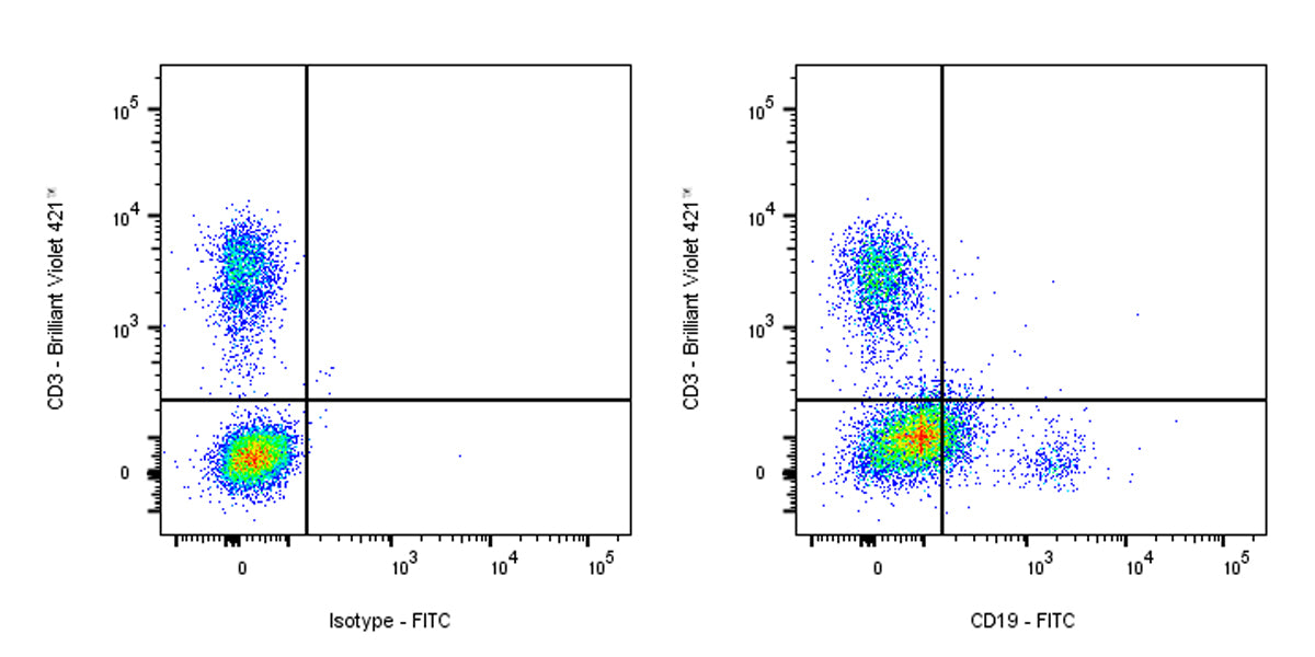 FITC Mouse Anti-Human CD19 Antibody (HIB19)