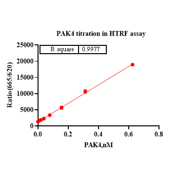 Product image media