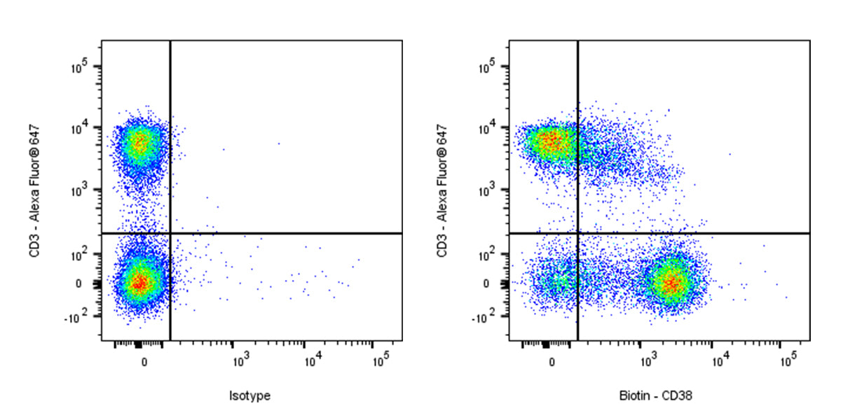 Biotin Rat Anti-Mouse CD38 Antibody (90)