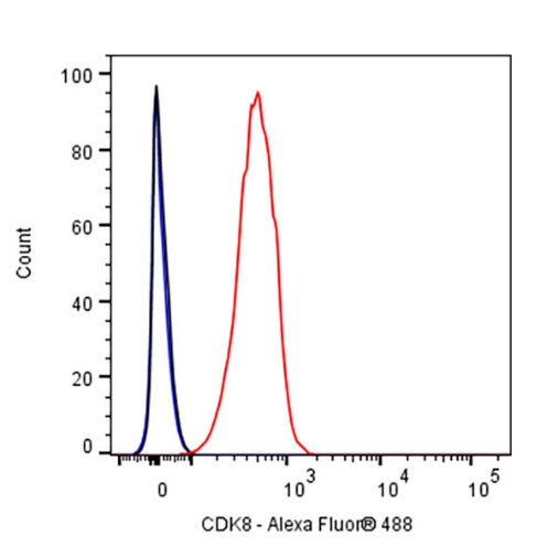 CDK8 Recombinant Rabbit mAb (S-1627-70)