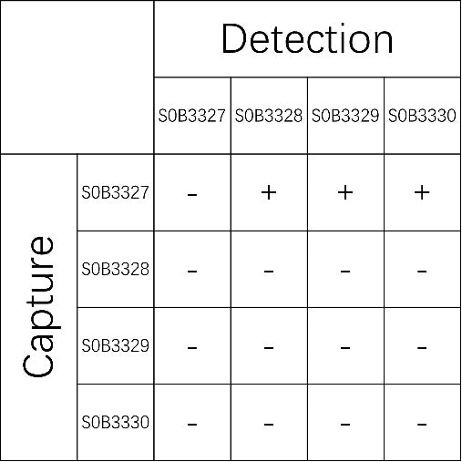 GFAP Recombinant Rabbit mAb (SDT-1561-2)