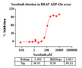 BRAF GST Tag Protein