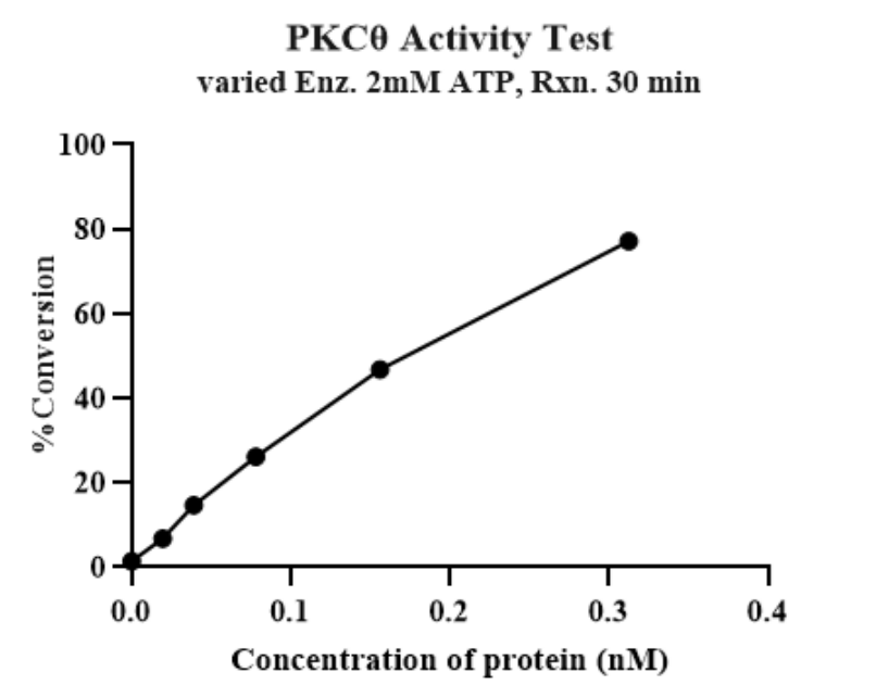 PKCθ GST Tag Protein, Human
