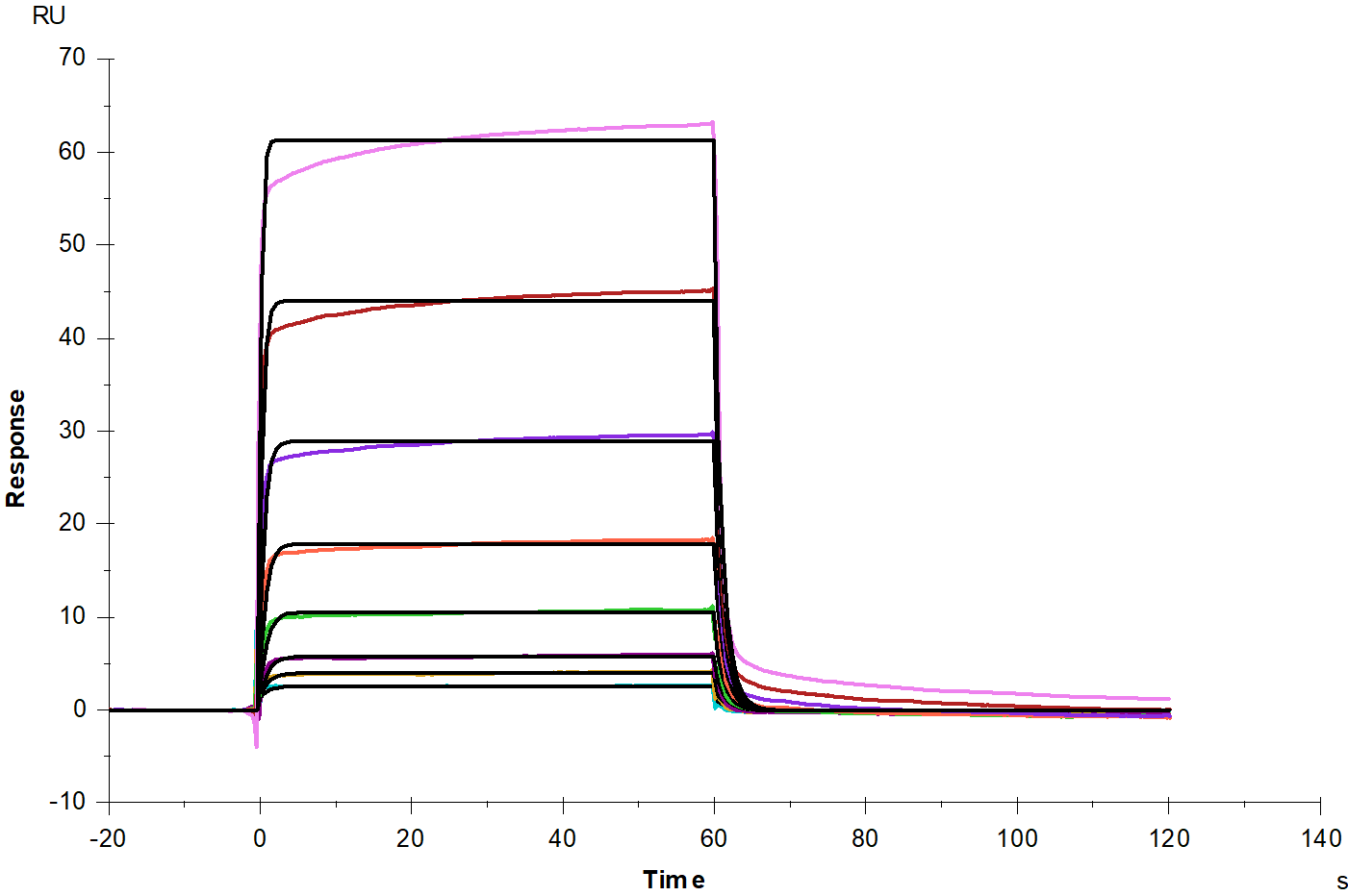 IFN-alpha/beta R1 Fc Chimera Protein, Human