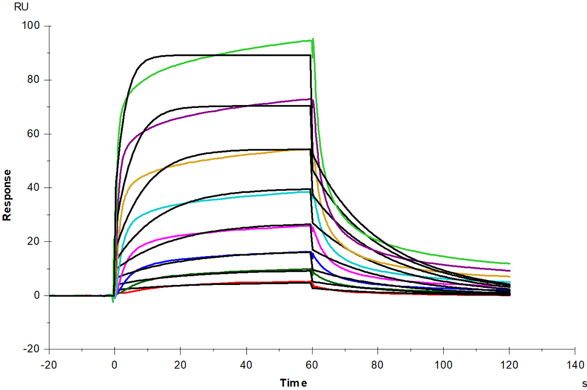 IFN-Omega Protein, Human