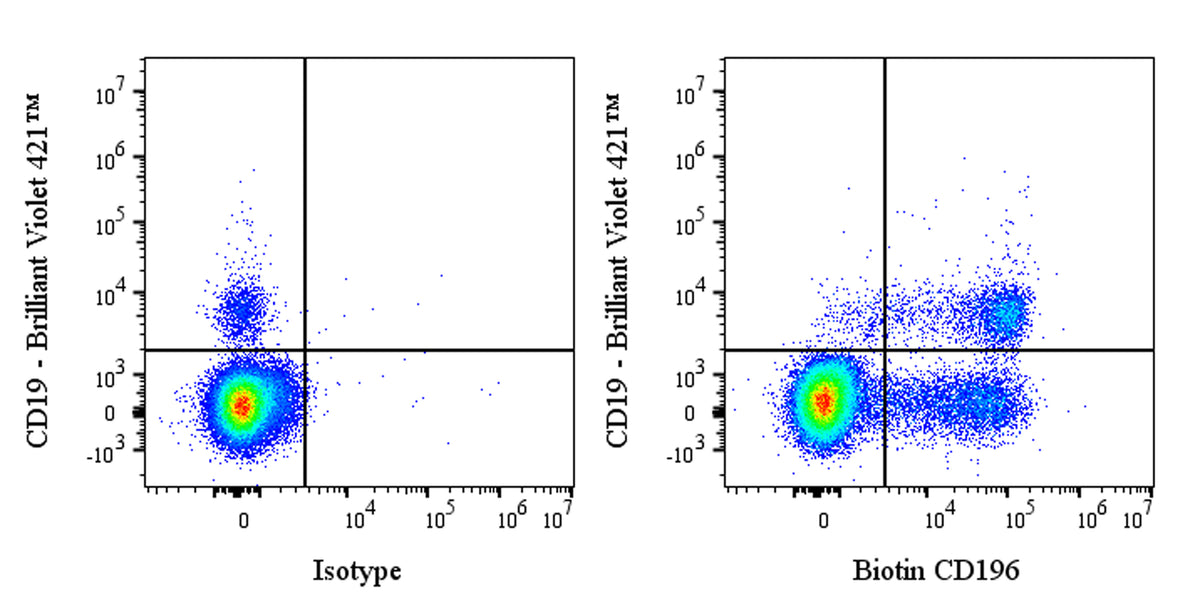 Biotin Mouse Anti-Human CD196 Antibody (S-R645)